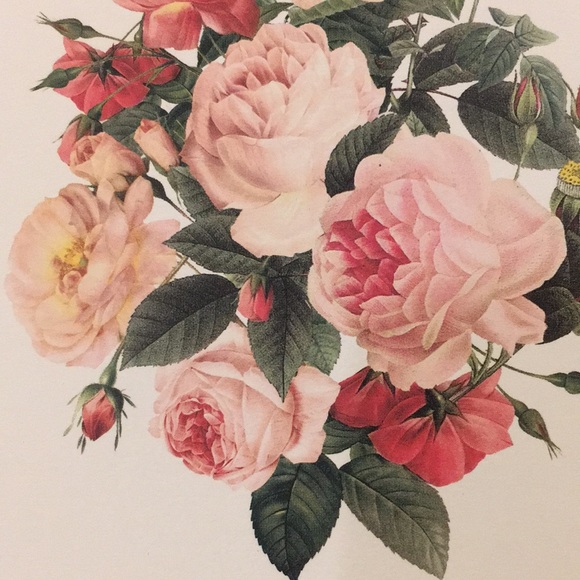 Rose Bouquet Garden Valentines Note Card Set of Ten BoxedSet NWT Green Inspired - Picture 4 of 16